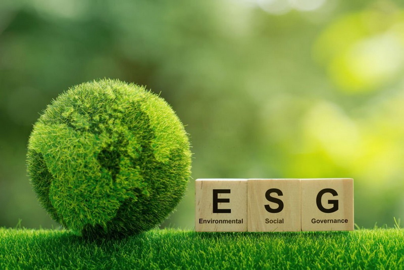 Environmental Social Governance (ESG) Reporting