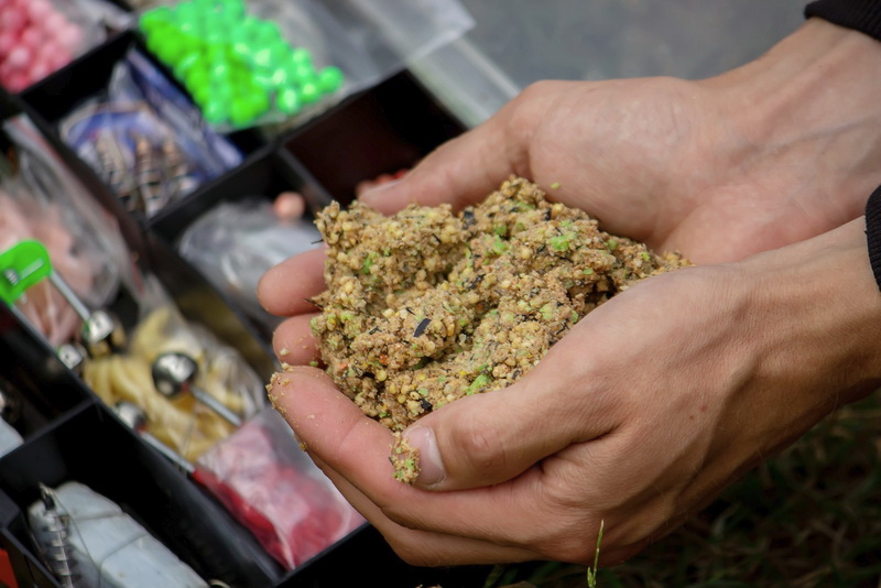 Biokonversi Waste Menjadi Protein